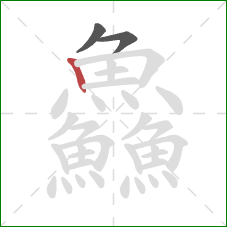 鱻的笔顺第3画:竖 鱻的笔顺第3画:竖
