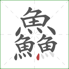 鱻的笔顺第30画:点 鱻的笔顺第30画:点