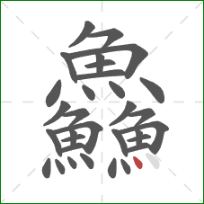 鱻的笔顺第32画:点 鱻的笔顺第32画:点
