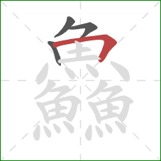 鱻的笔顺第4画:横折 鱻的笔顺第4画:横折