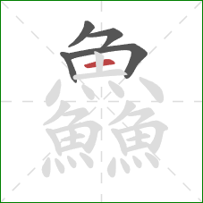 鱻的笔顺第5画:横 鱻的笔顺第5画:横