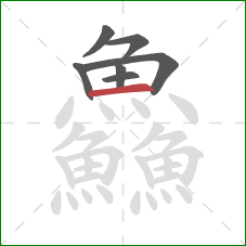 鱻的笔顺第7画:横 鱻的笔顺第7画:横