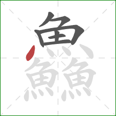 鱻的笔顺第8画:点 鱻的笔顺第8画:点
