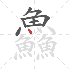 鱻的笔顺第9画:点 鱻的笔顺第9画:点