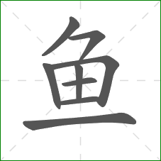 鱼的部首