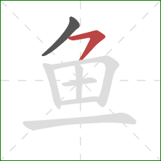 鱼的笔顺第2画：横撇