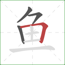 鱼的笔顺第4画：横折
