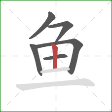 鱼的笔顺第6画：竖