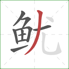 鱿的笔顺第10画:撇 鱿的笔顺第10画:撇