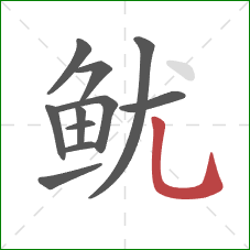 鱿的笔顺第11画:竖弯钩 鱿的笔顺第11画:竖弯钩