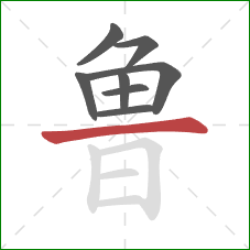 鲁的笔顺第8画：横