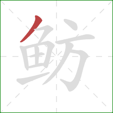 鲂的笔顺第1画:撇 鲂的笔顺第1画:撇