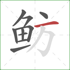 鲂的笔顺第10画:横 鲂的笔顺第10画:横
