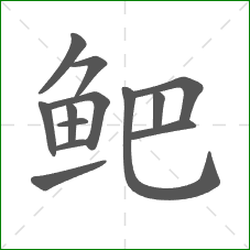 鲃的部首 鲃的部首
