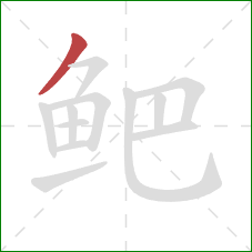 鲃的笔顺第1画:撇 鲃的笔顺第1画:撇