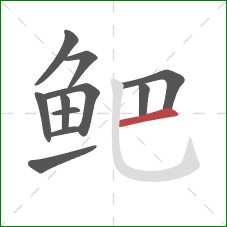 鲃的笔顺第11画:横 鲃的笔顺第11画:横
