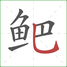 鲃的笔顺第12画:竖弯钩 鲃的笔顺第12画:竖弯钩