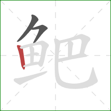 鲃的笔顺第3画:竖 鲃的笔顺第3画:竖