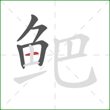 鲃的笔顺第5画:横 鲃的笔顺第5画:横
