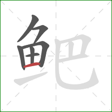 鲃的笔顺第7画:横 鲃的笔顺第7画:横