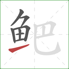 鲃的笔顺第8画:提 鲃的笔顺第8画:提