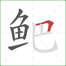 鲃的笔顺第9画:横折 鲃的笔顺第9画:横折