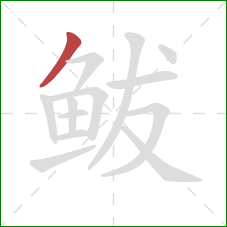 鲅的笔顺第1画：撇