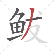 鲅的笔顺第10画：撇