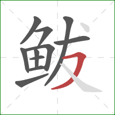 鲅的笔顺第11画：横撇