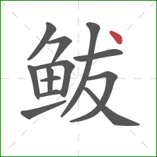鲅的笔顺第13画：点