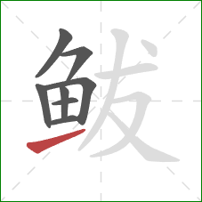 鲅的笔顺第8画：提