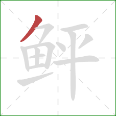 鲆的笔顺第1画:撇 鲆的笔顺第1画:撇