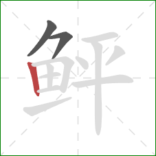 鲆的笔顺第3画:竖 鲆的笔顺第3画:竖