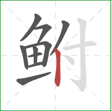 鲋的笔顺第10画:竖 鲋的笔顺第10画:竖