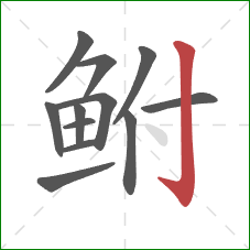 鲋的笔顺第12画:竖钩 鲋的笔顺第12画:竖钩