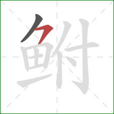 鲋的笔顺第2画:横撇/横钩 鲋的笔顺第2画:横撇/横钩