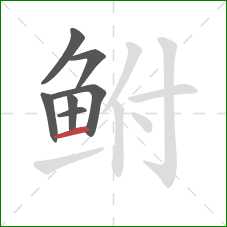 鲋的笔顺第7画:横 鲋的笔顺第7画:横