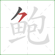 鲍的笔顺第2画：横撇