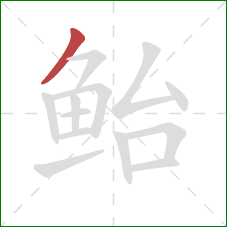 鲐的笔顺第1画:撇 鲐的笔顺第1画:撇