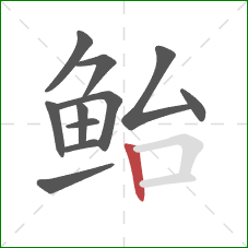鲐的笔顺第11画:竖 鲐的笔顺第11画:竖
