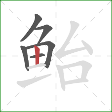 鲐的笔顺第6画:竖 鲐的笔顺第6画:竖