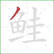 鲑的笔顺第1画:撇 鲑的笔顺第1画:撇