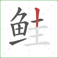 鲑的笔顺第10画:竖 鲑的笔顺第10画:竖