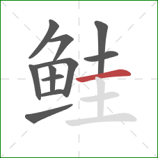 鲑的笔顺第11画:横 鲑的笔顺第11画:横