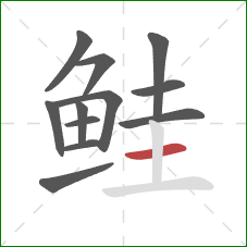 鲑的笔顺第12画:横 鲑的笔顺第12画:横