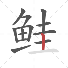 鲑的笔顺第13画:竖 鲑的笔顺第13画:竖