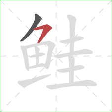 鲑的笔顺第2画:横撇 鲑的笔顺第2画:横撇