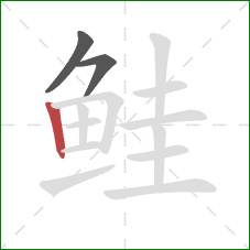 鲑的笔顺第3画:竖 鲑的笔顺第3画:竖