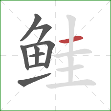 鲑的笔顺第9画:横 鲑的笔顺第9画:横