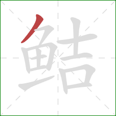 鲒的笔顺第1画：撇